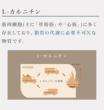カーブシート(9箱) Amazon.co.jp: curvesheet(カーブシート)ボディシート60枚(6箱)+